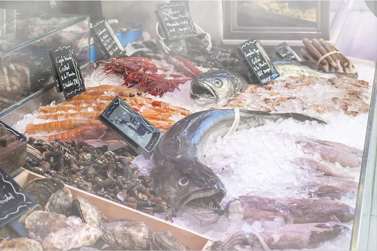 نازل مه‌پاش فروشگاهی برای رطوبت‌دهی به گوشت و ماهی