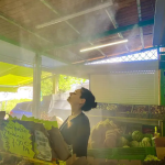 مه‌پاش فروشگاهی برای نگهداری میوه و سبزی تازه