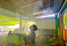 مه‌پاش فروشگاهی برای نگهداری میوه و سبزی تازه