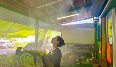 مه‌پاش فروشگاهی برای نگهداری میوه و سبزی تازه