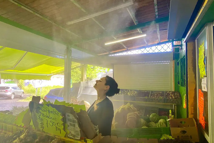 مه‌پاش فروشگاهی برای نگهداری میوه و سبزی تازه